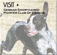 Visit - German Shorthaired Pointer Club of Canada
